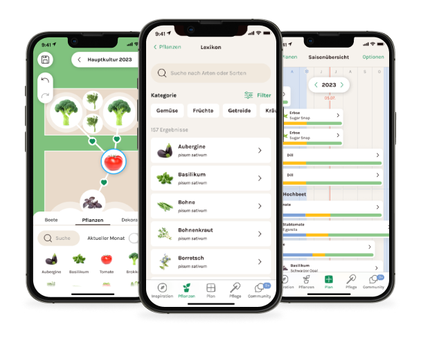 Do you know about the Fryd App?